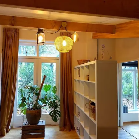 公寓 Tiny Hofje *